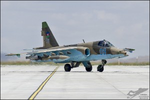 D7T_4615